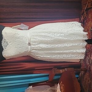 NWT Christina Wu ivory lace short dress- size 10